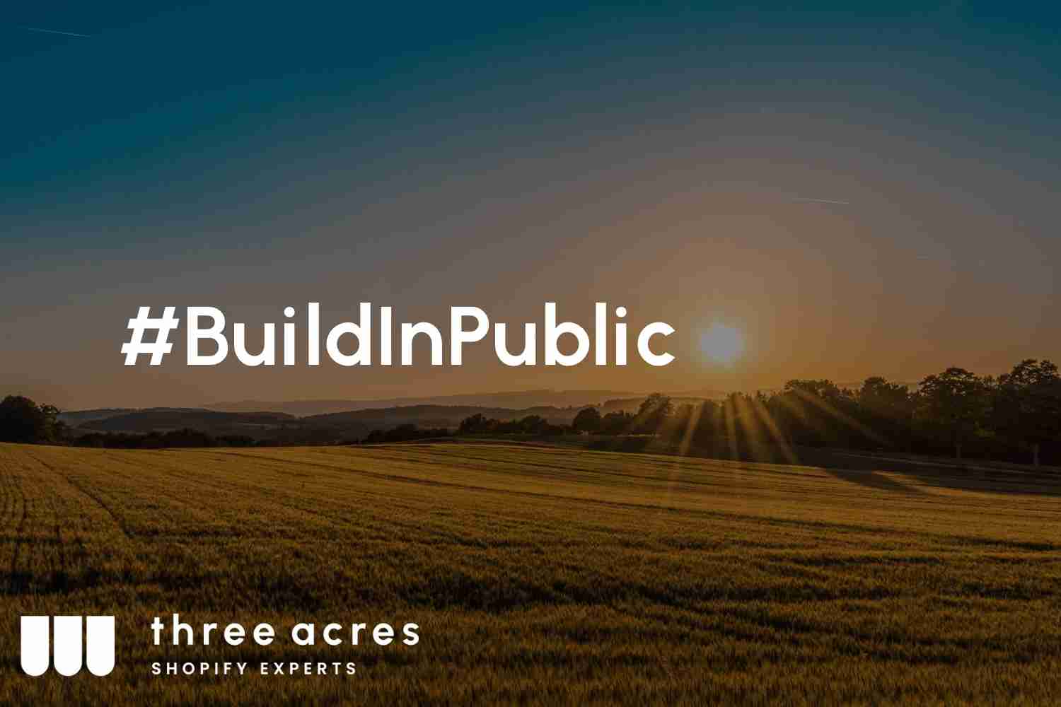 #BuildInPublic – Three Acres
