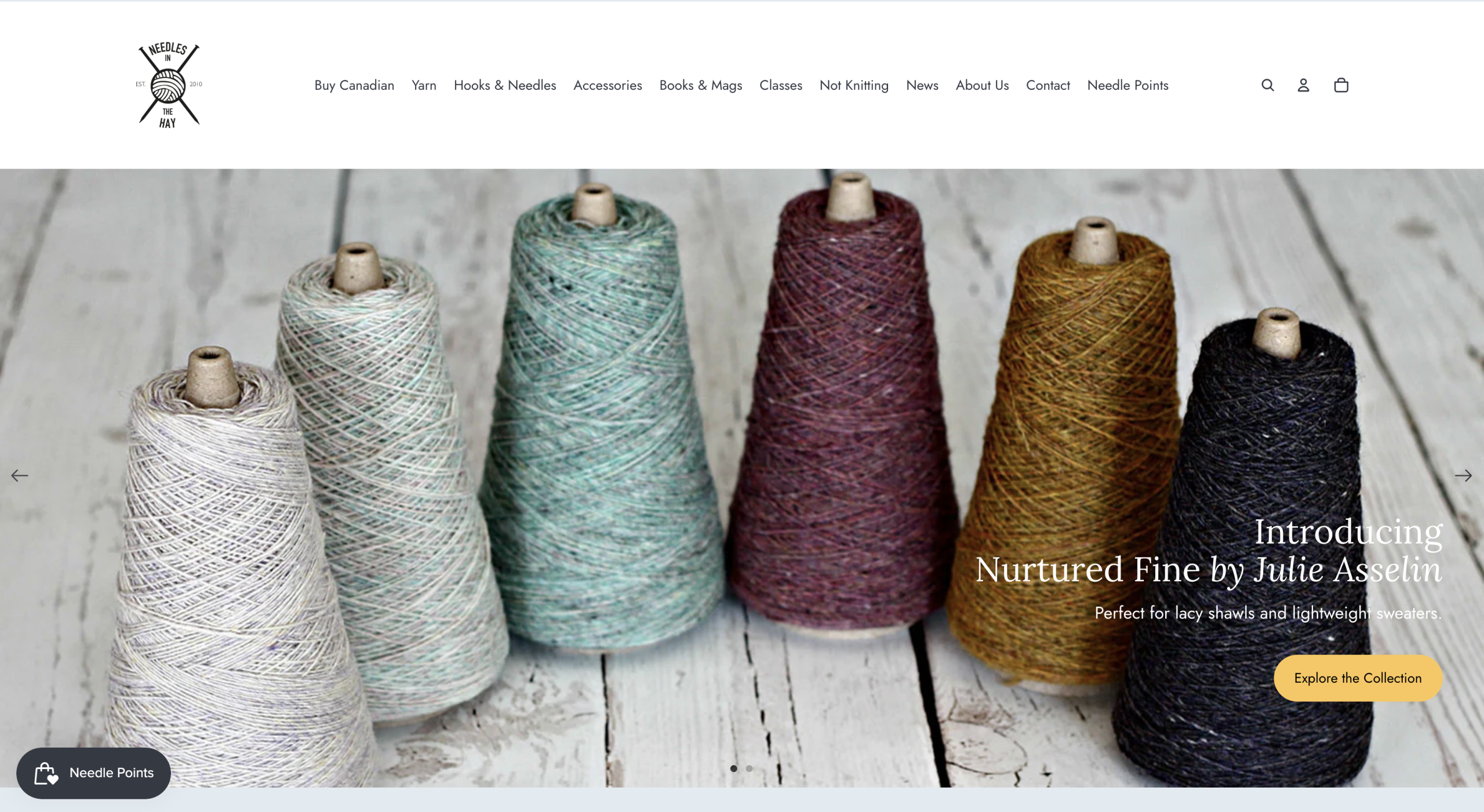 Celebrating the Launch of Needles in the Hay